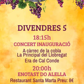 XX Festa Verema 2025 1
