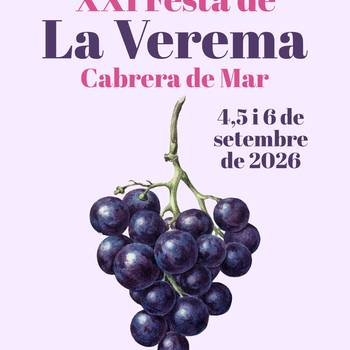 Festa verema
