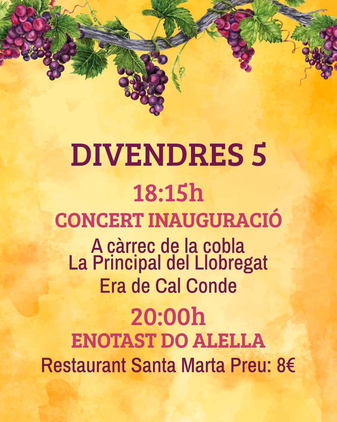 XX Festa Verema 2025 1