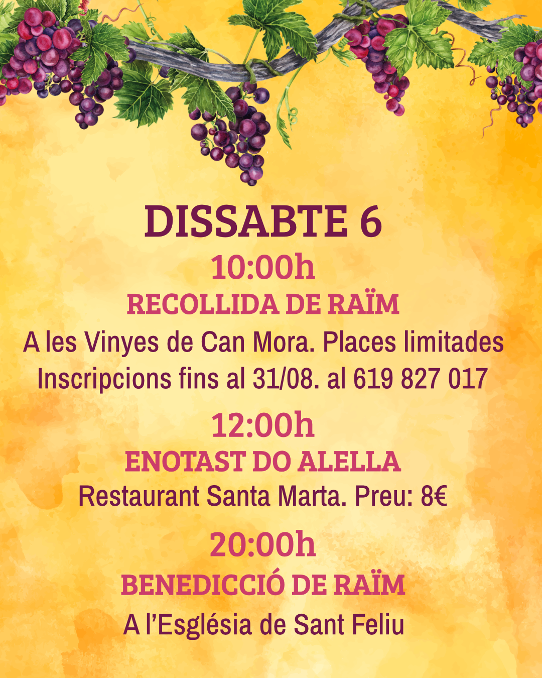 Festa de la Verema 2025 2
