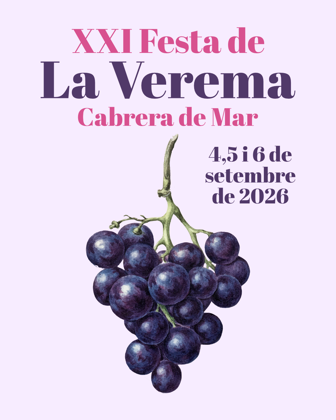 Festa verema