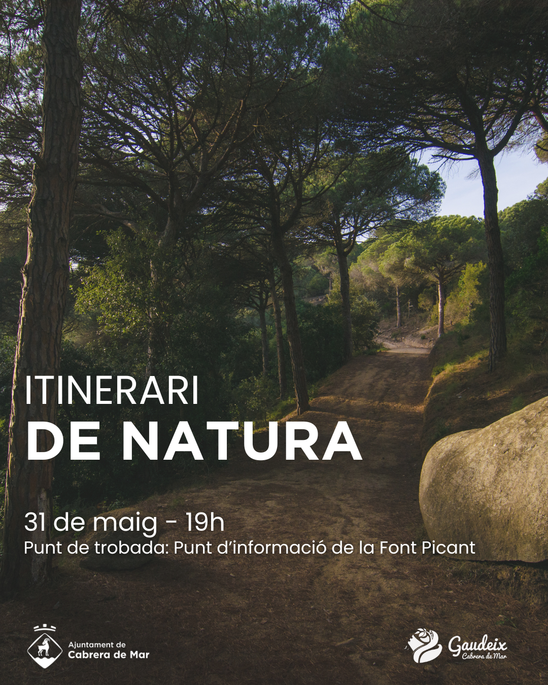 Iitinerari de Natura